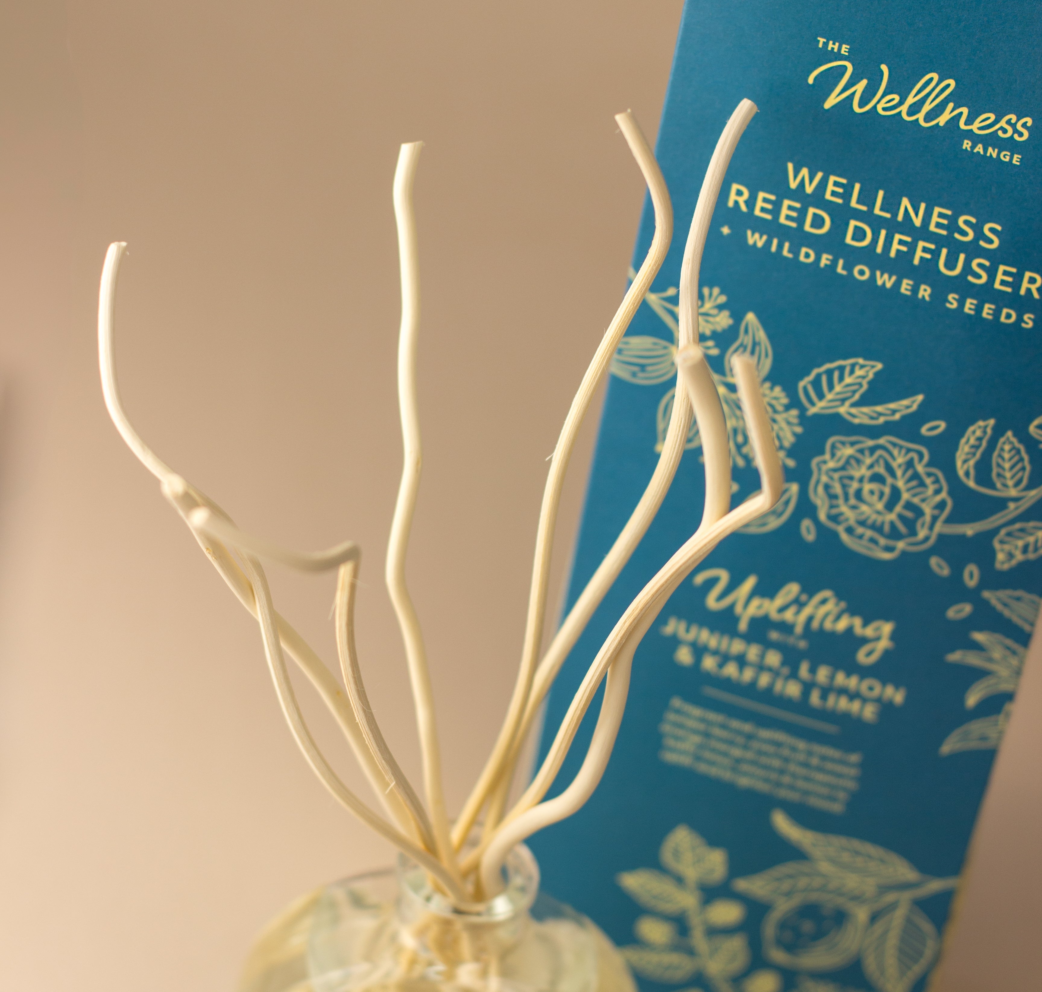 Reed Diffusers