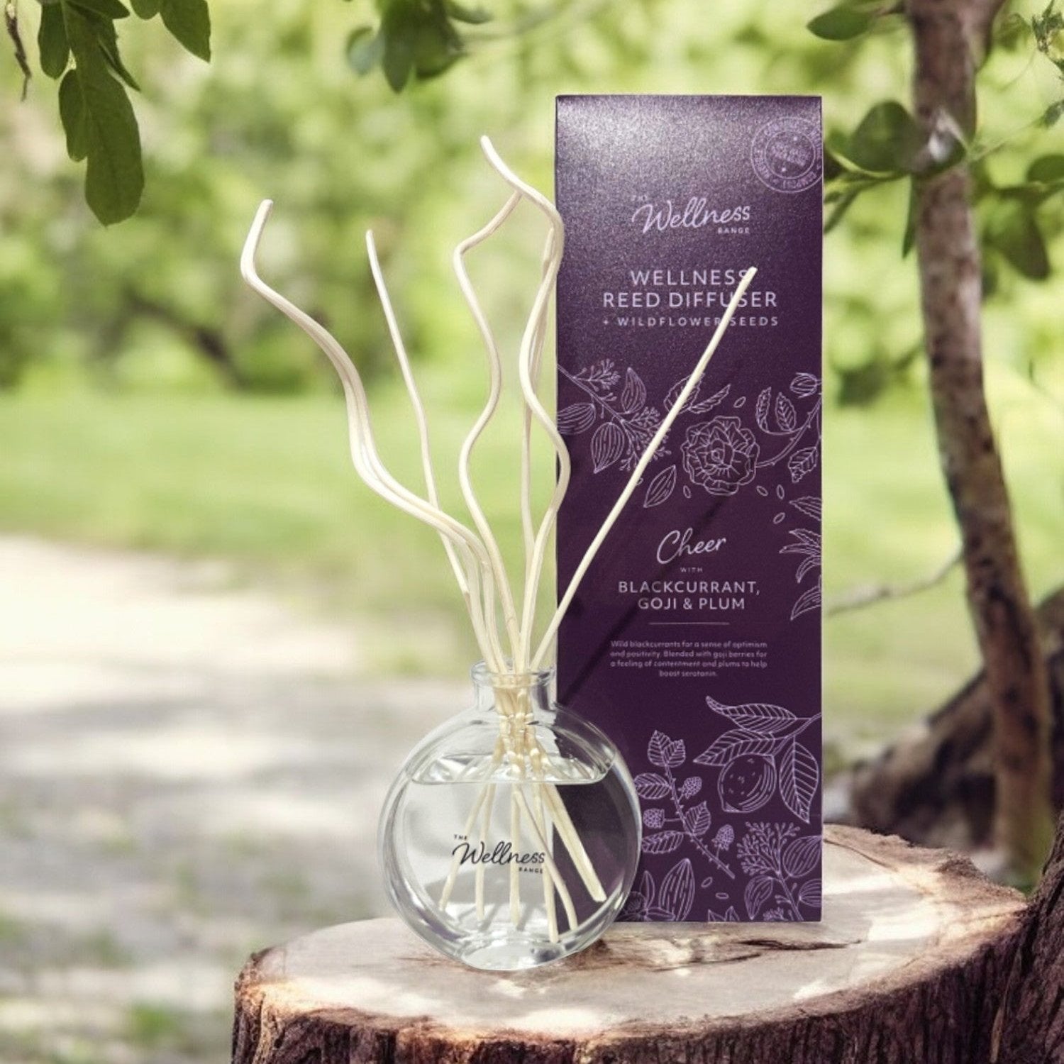 CHEER Blackcurrant, Goji & Plum Wellness Reed Diffuser