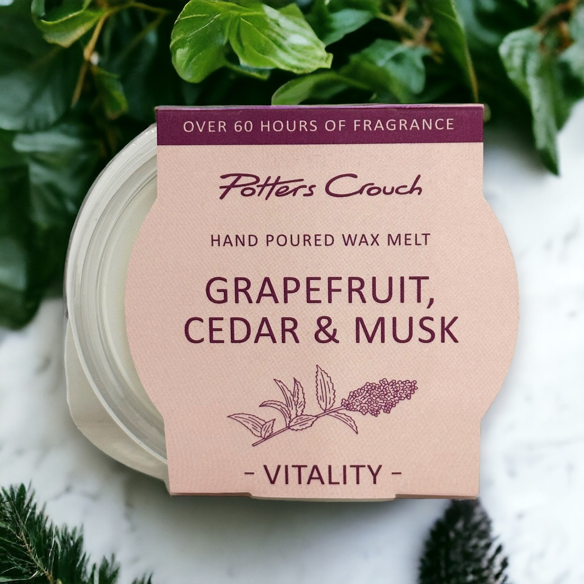 VITALITY Wellness Melt Pott with Grapefruit, Cedar & Musk