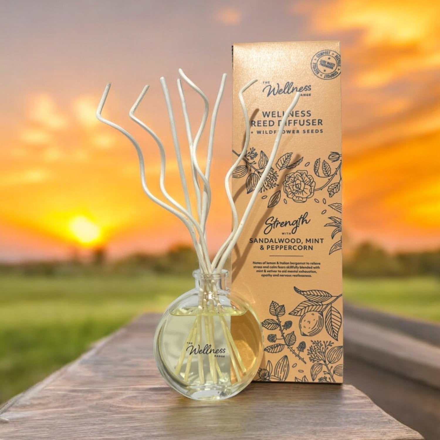 STRENGTH Sandalwood, Mint & Peppercorn Wellness Reed Diffuser